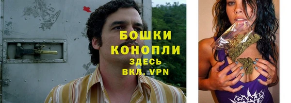 спайс Алексин
