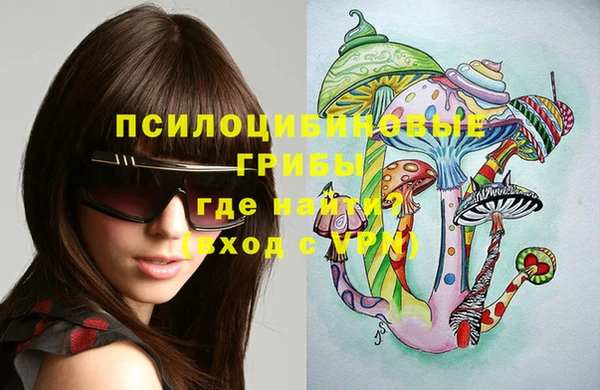 ПСИЛОЦИБИНОВЫЕ ГРИБЫ Абдулино