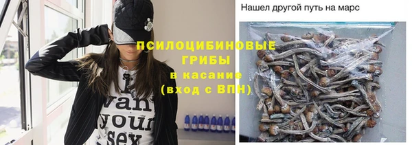 каннабис Алексеевка